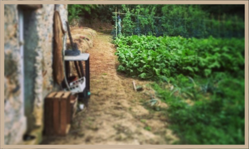 Garden 2