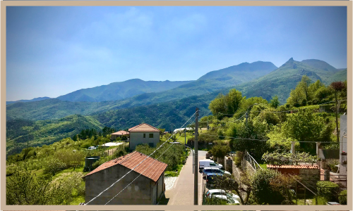 View from terrace 3